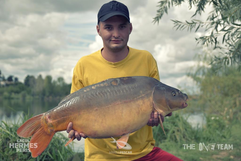 Hermes Peris - tapatalk1504646486723.jpeg